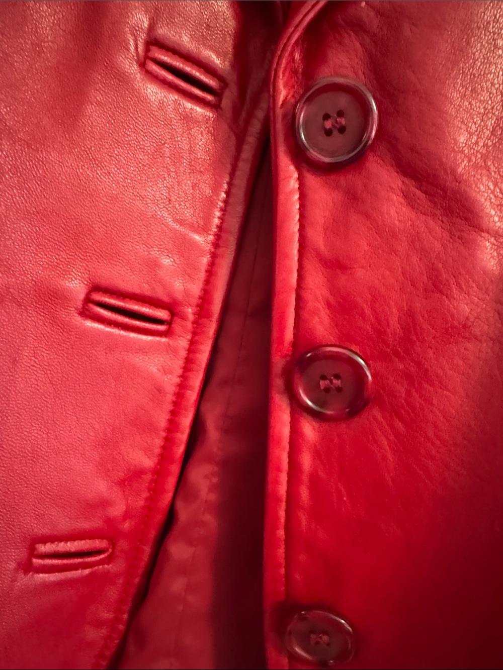 Danier Red Leather Blazer - Picture 3 of 9
